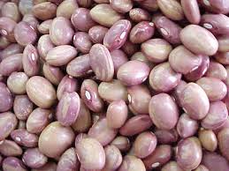 Frijol Tierno kilo